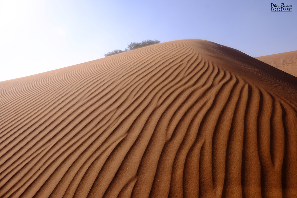 Sand ripples by dkbarnett