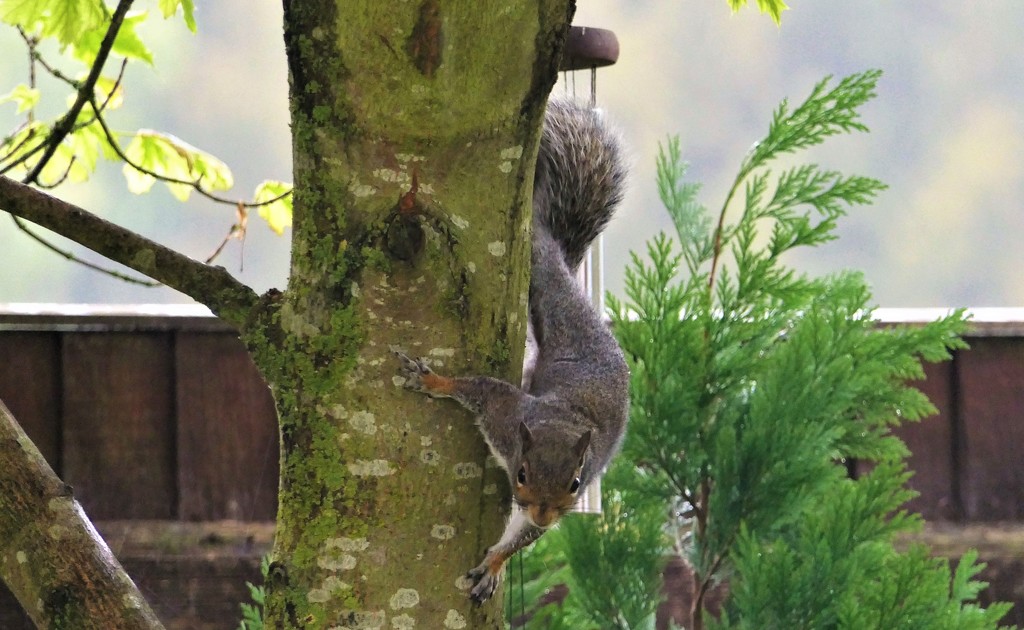 Hanging Around! by carole_sandford