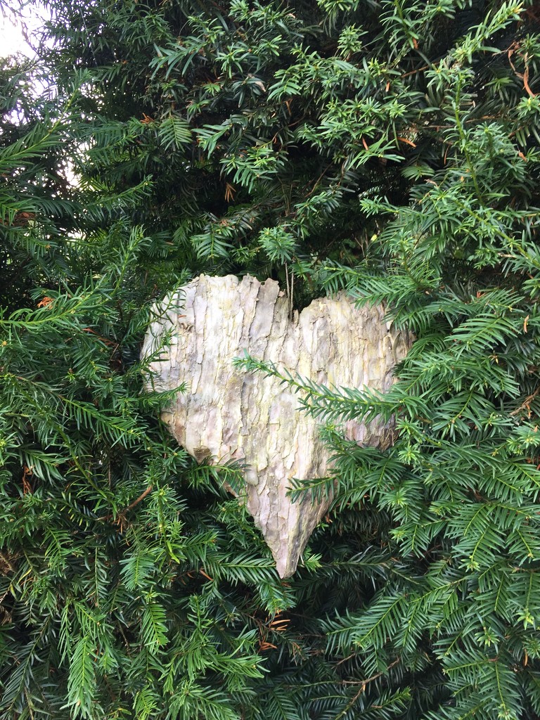 Wooden heart.  by cocobella