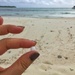 The tiniest sea urchin in the world! by cocobella