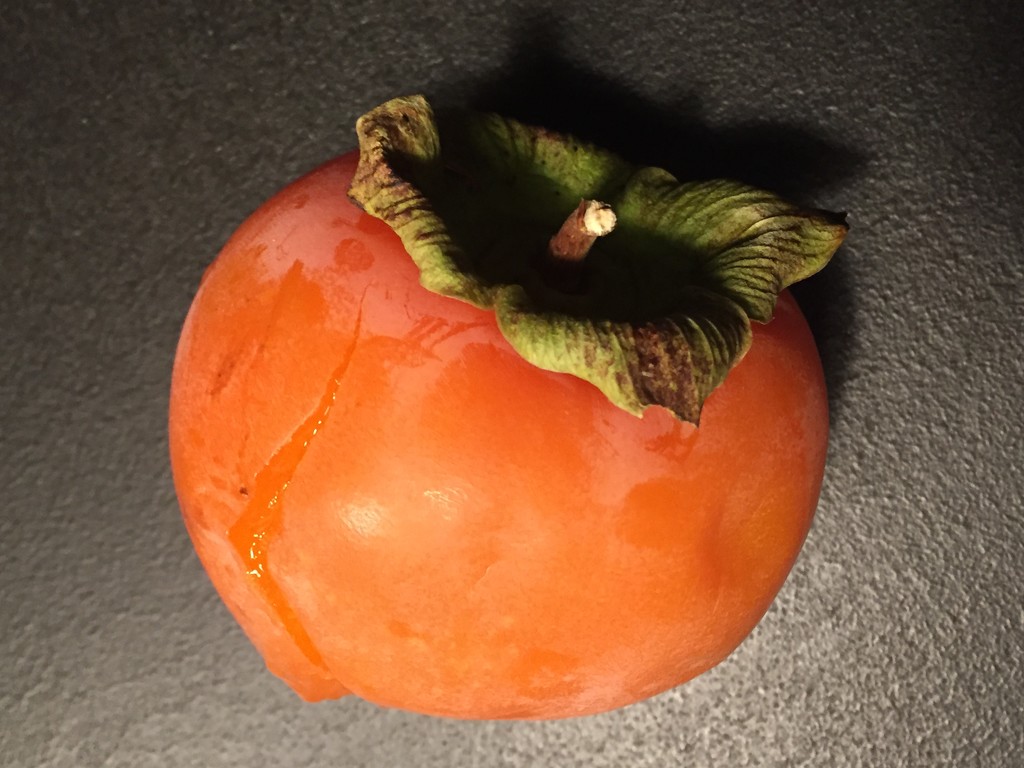 Caco (persimmon) by caterina