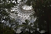11th Oct 2017 - Inside The Tropical Display Dome ~