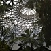 Inside The Tropical Display Dome ~ by happysnaps
