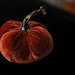 Pumpkin 4 by loweygrace