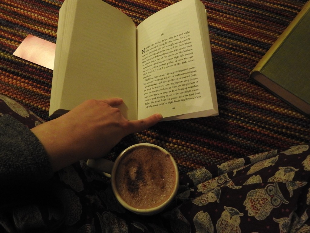 Hot chocolate with cinnamon and a good book by roachling