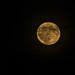 Harvest moon by novab