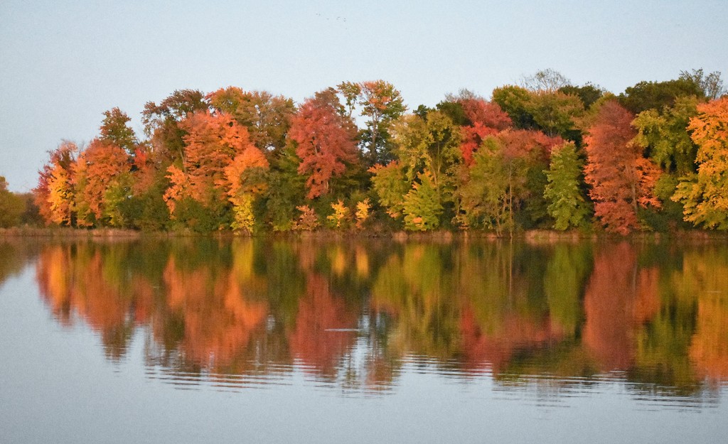 Reflections of Fall by caitnessa