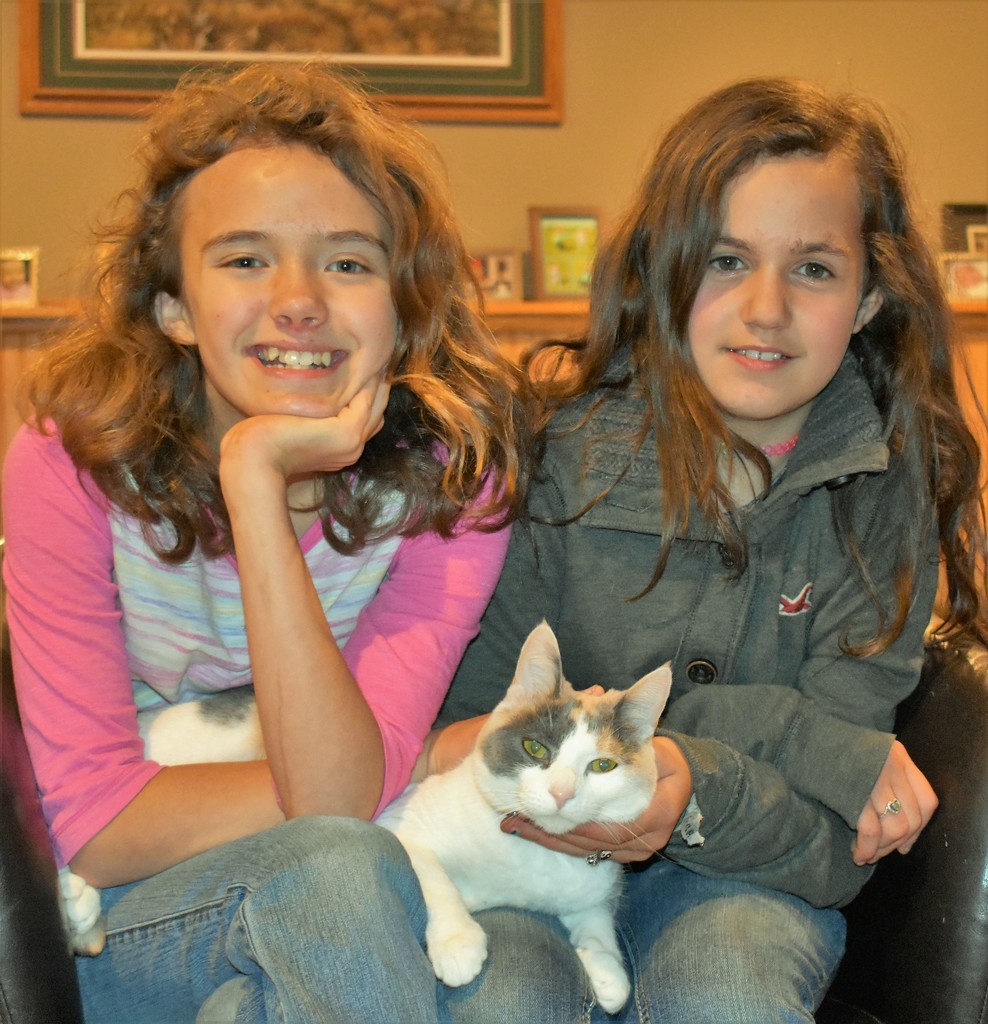 Two Cousins and a Calico named Claire by caitnessa