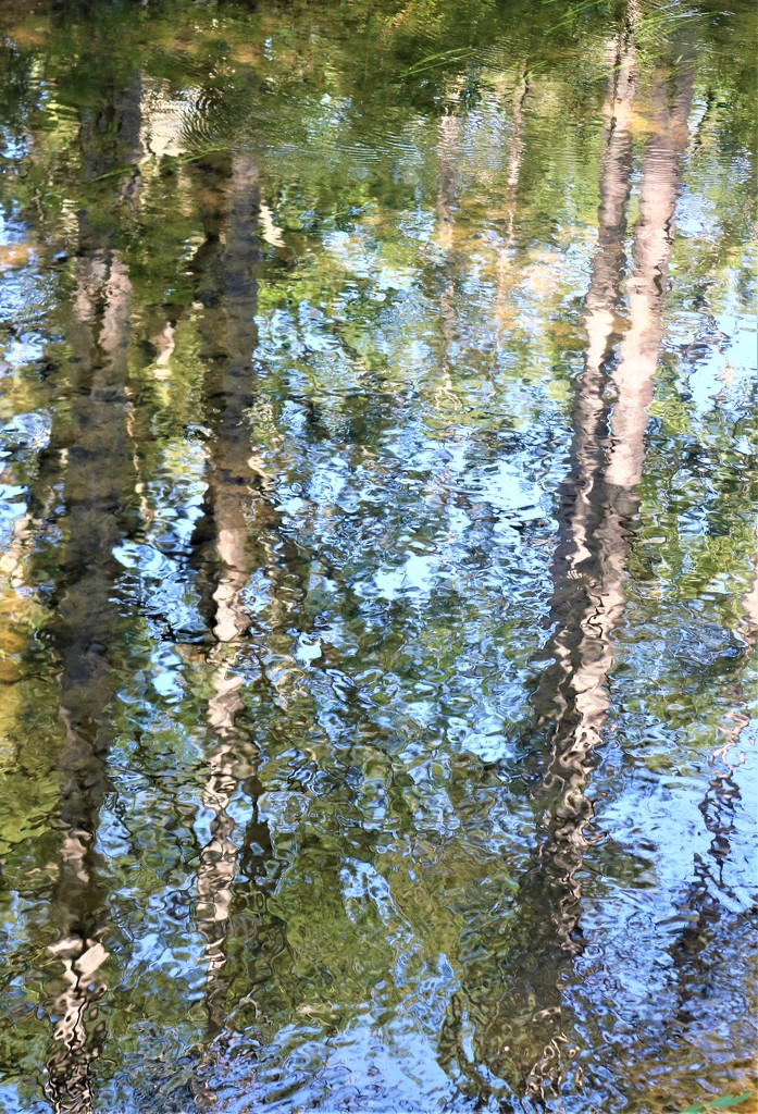 reflections by edorreandresen