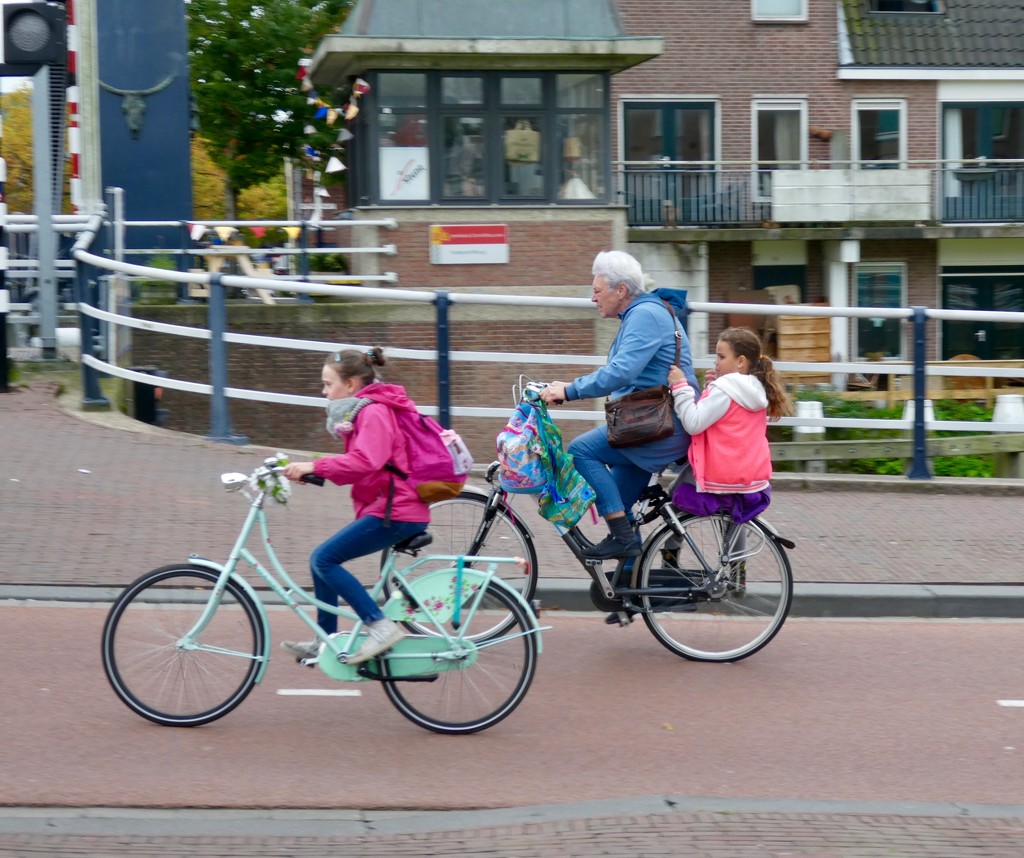 Family cycling in Delft by orchid99
