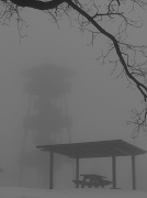 31st Dec 2010 - Fog