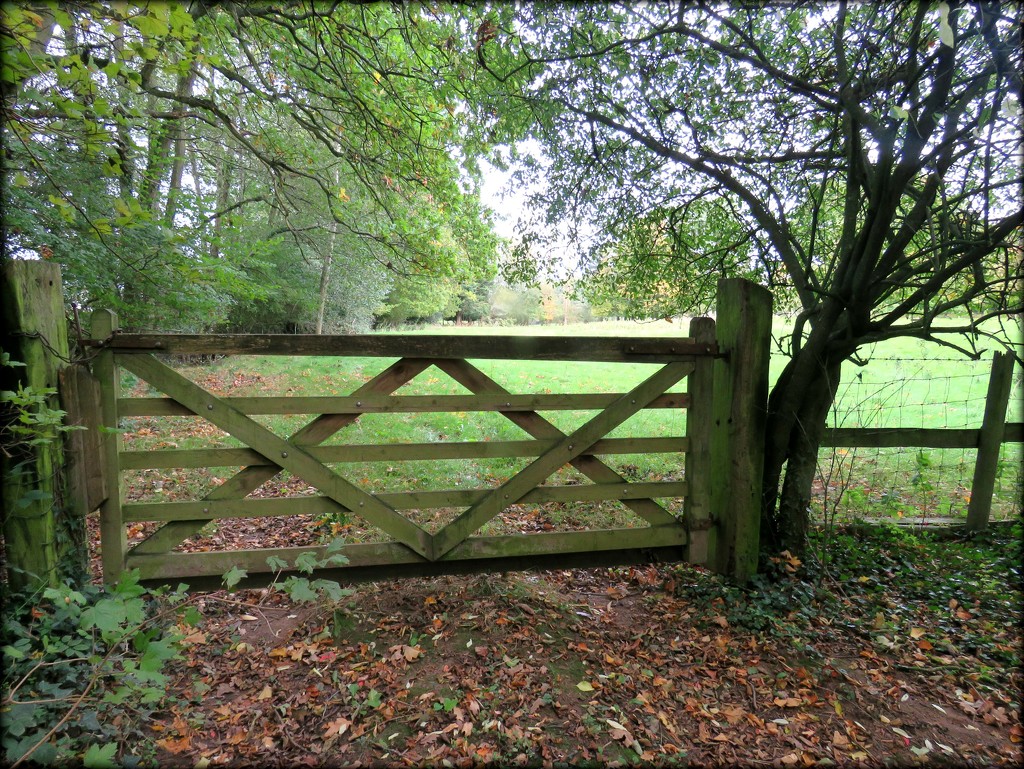 the country gate by cruiser