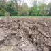 Ploughed Field by jon_lip