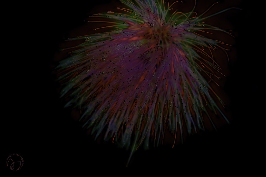 Playful Fireworks by evalieutionspics
