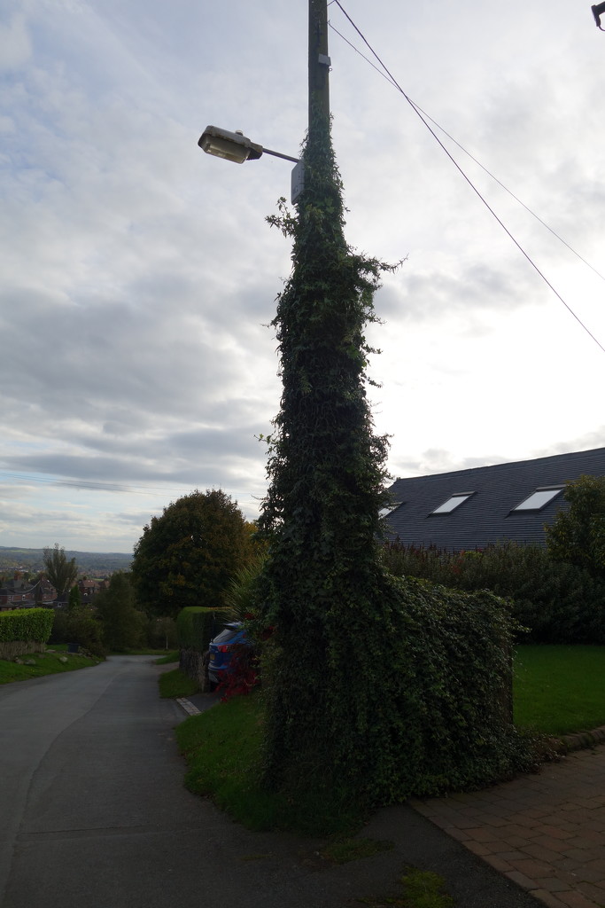 How to disguise a telegraph pole  by brennieb