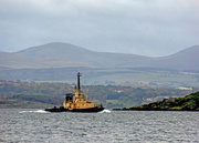 12th Oct 2017 - Small tug on the River Forth