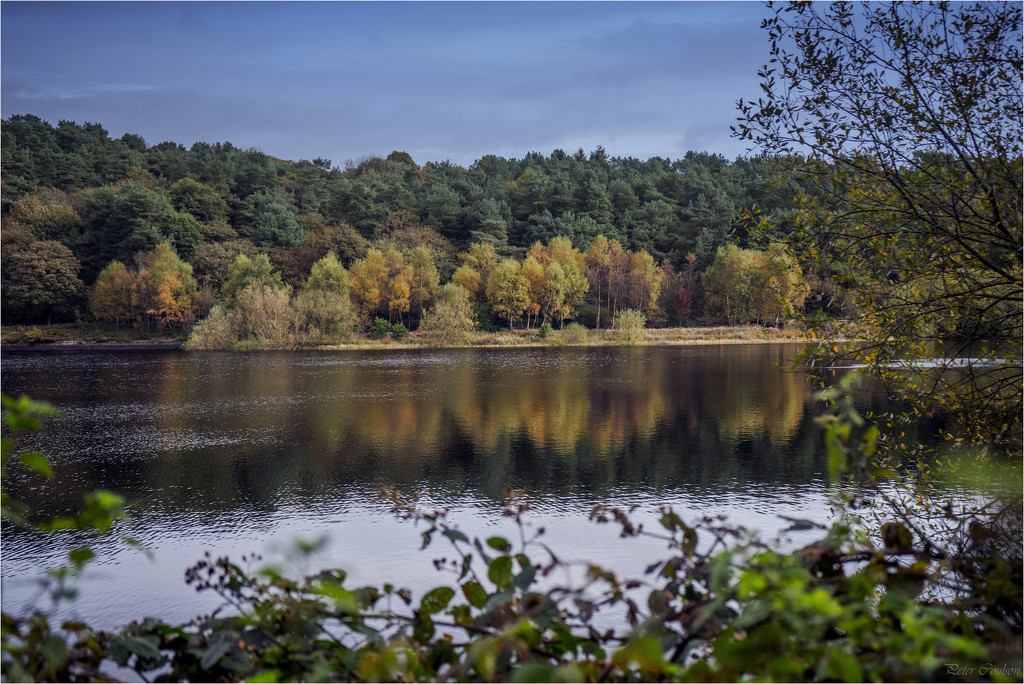 Reflected Colours by pcoulson