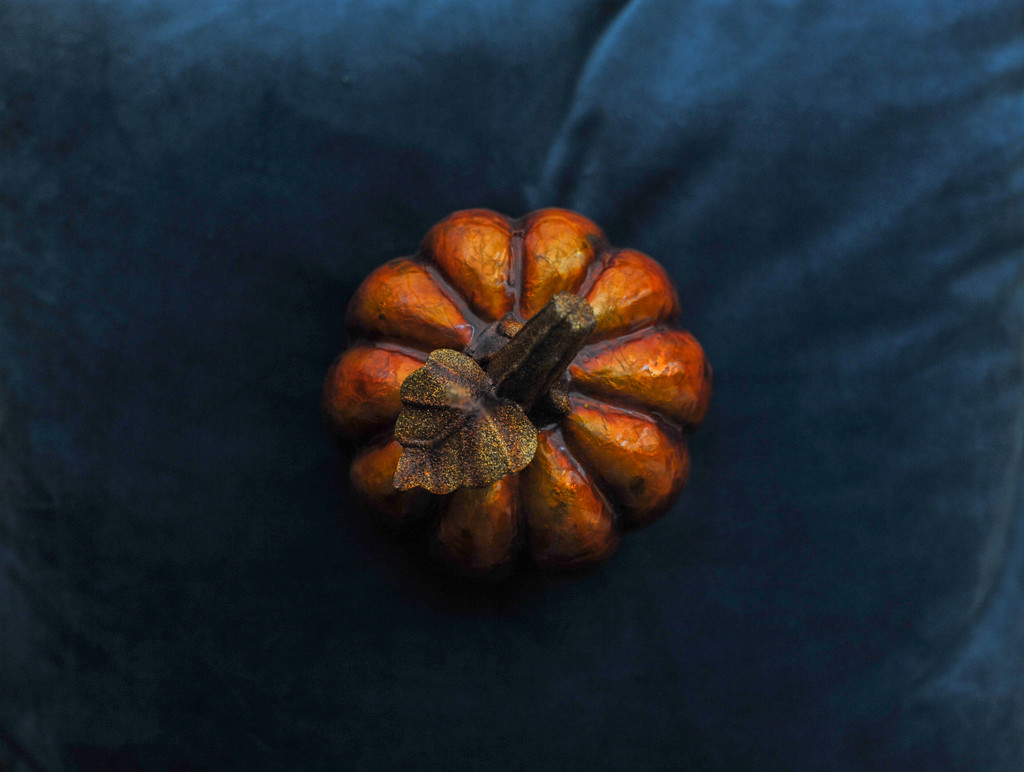 Pumpkin 7 by loweygrace