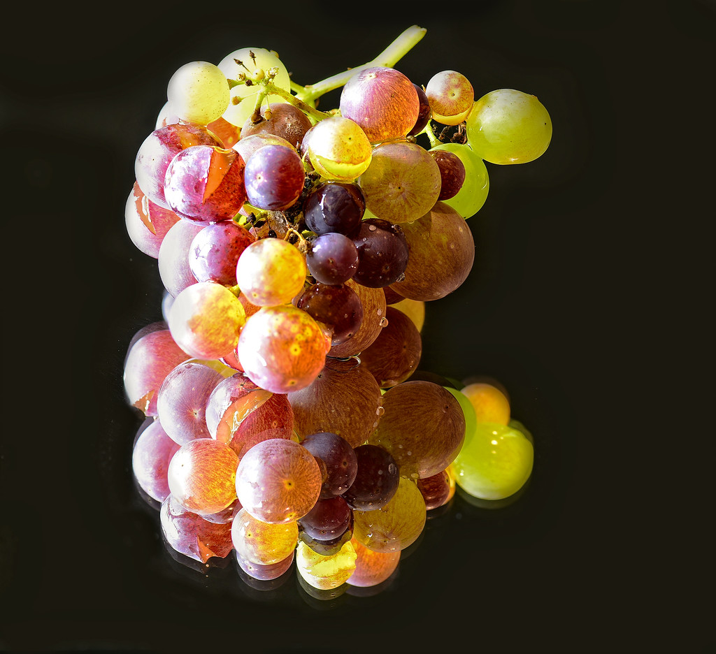 grapes by jgpittenger