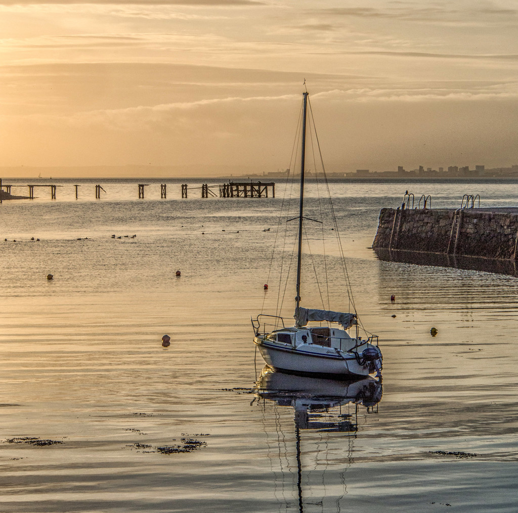 Golden morning at the harbour by frequentframes