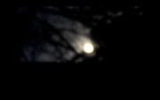 15th Oct 2017 - Full moon seen through tree branches