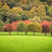 Autumn Colour in Scotland by frequentframes