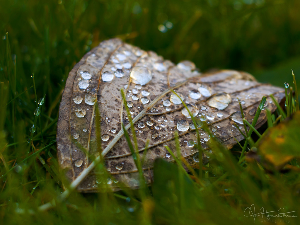 Grey skies on an early Sunday morning… by atchoo