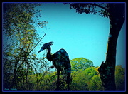 5th Oct 2017 - Blue Heron or Just a Replica?