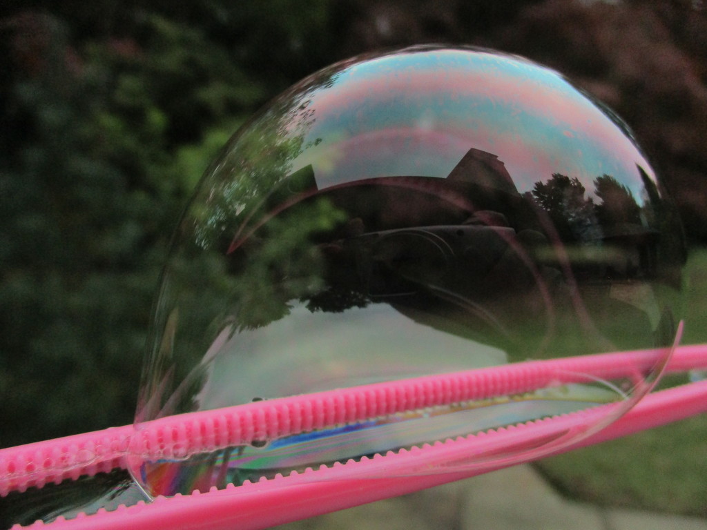 Bubble - caught by granagringa