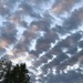 1013clouds by diane5812