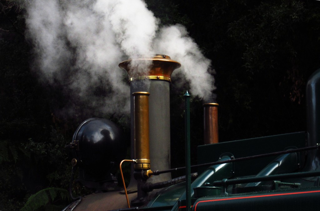 Steam loco No. 5 by robz