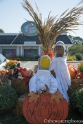 15th Oct 2017 - Southern Bee Keeper Fall Festival...