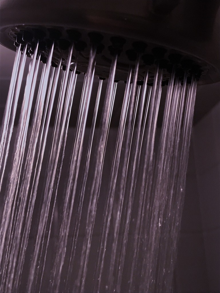Day 30:  Shower by sheilalorson