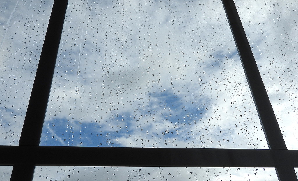 Raindrops and blue skies by homeschoolmom