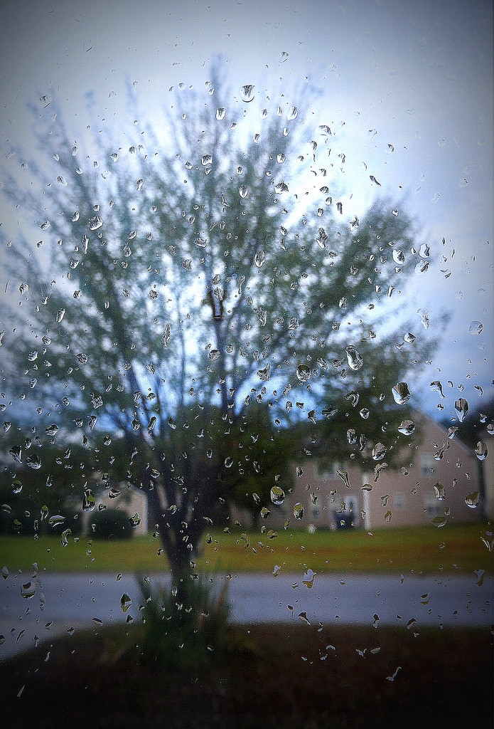 Rainy morning! by homeschoolmom