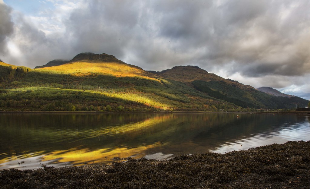 Reflections on Loch Long by shepherdmanswife
