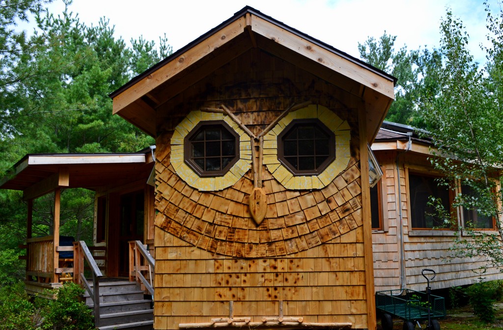 Owl's House by bigdad