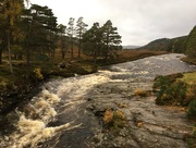 17th Oct 2017 - River Dee