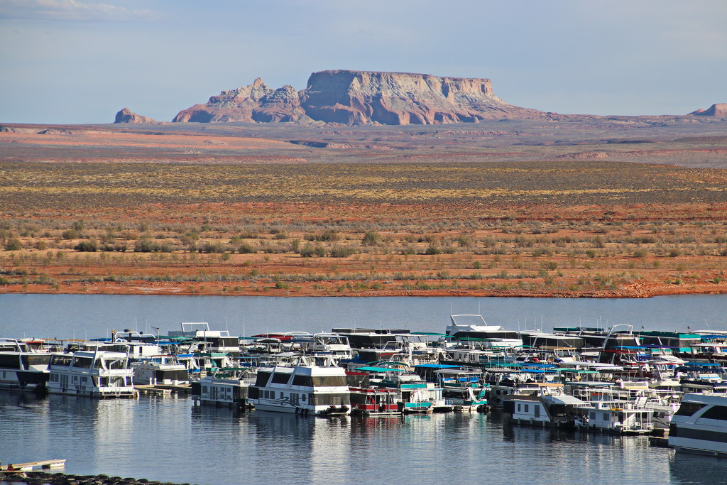 Wild Horse Mesa and Lake Powell by terryliv