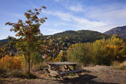 8th Oct 2017 - Lower Rossland in Autumn