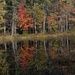 New England Autumn by randystreat