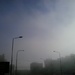 Foggy morning by ivm