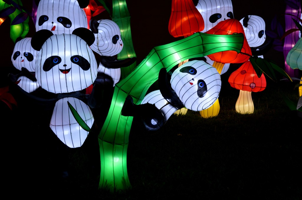 panda party by bigdad