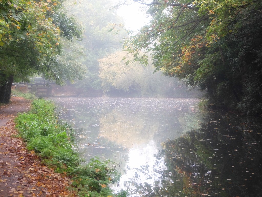 Misty start along the canal by mattjcuk