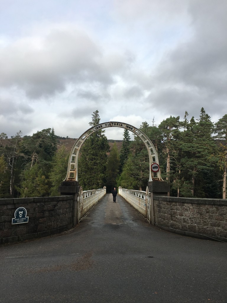 Bridge over the Dee by 365projectmaxine