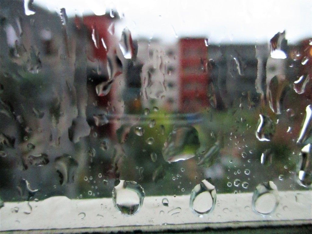 The Rain Returns - Salem, OR by granagringa