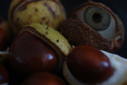 19th Oct 2017 - Creepy Conkers