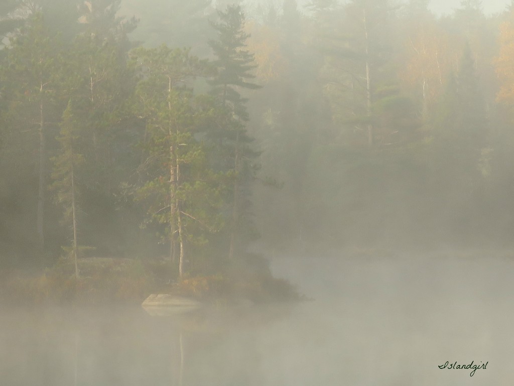 Foggy Lake  by radiogirl