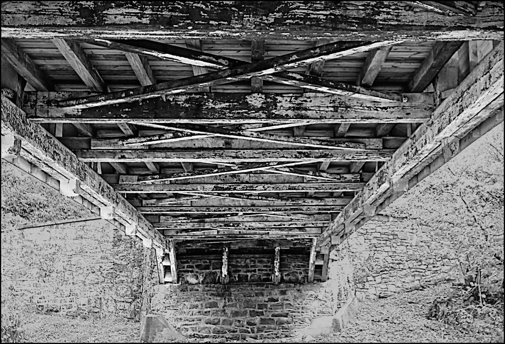 Under the Manasses Guth Bridge by olivetreeann