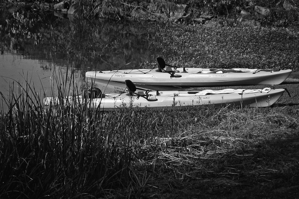 Kayaks on the Arkansas River?? by milaniet